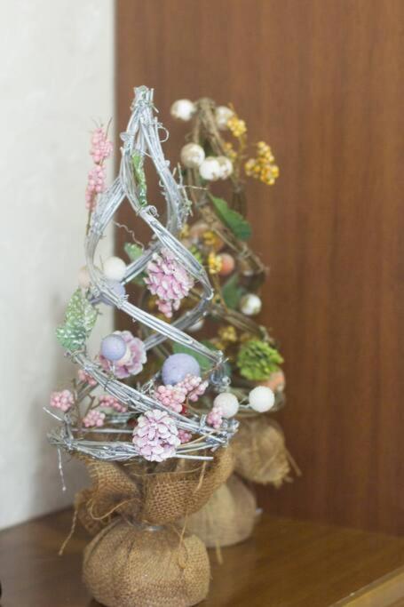 Mochida'S Guest House Tokyo Exterior photo